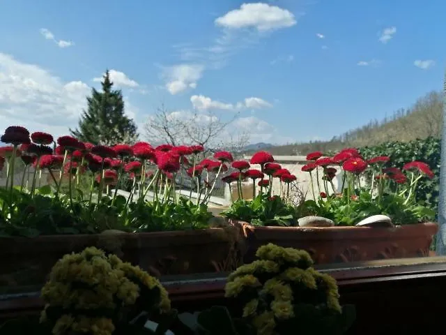 Center Blue Sky House Penzion Postojna